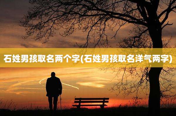 石姓男孩取名两个字(石姓男孩取名洋气两字)