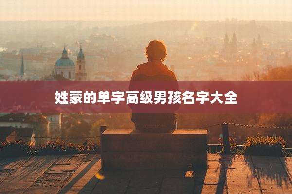 姓蒙的单字高级男孩名字大全