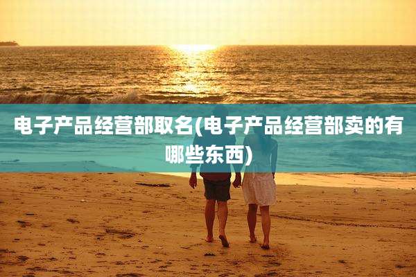 电子产品经营部取名(电子产品经营部卖的有哪些东西)