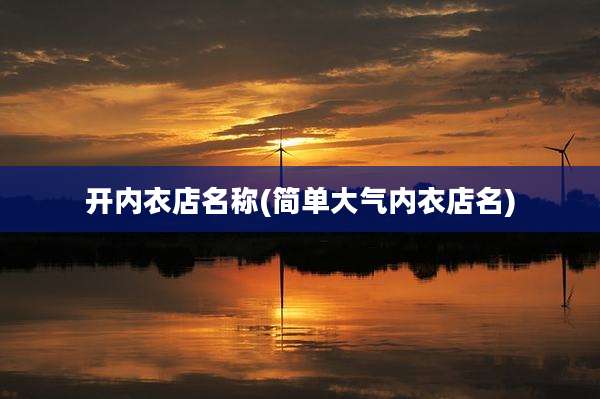 开内衣店名称(简单大气内衣店名)