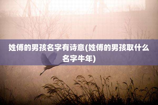姓傅的男孩名字有诗意(姓傅的男孩取什么名字牛年)