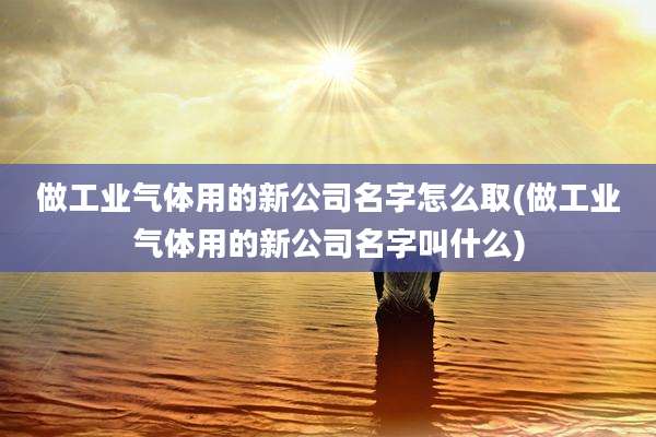 做工业气体用的新公司名字怎么取(做工业气体用的新公司名字叫什么)
