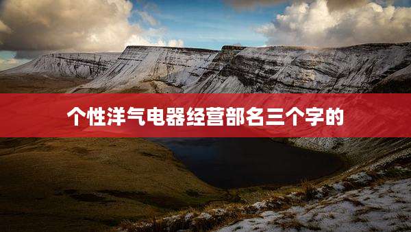 个性洋气电器经营部名三个字的