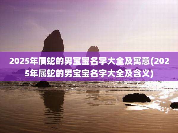 2025年属蛇的男宝宝名字大全及寓意(2025年属蛇的男宝宝名字大全及含义)