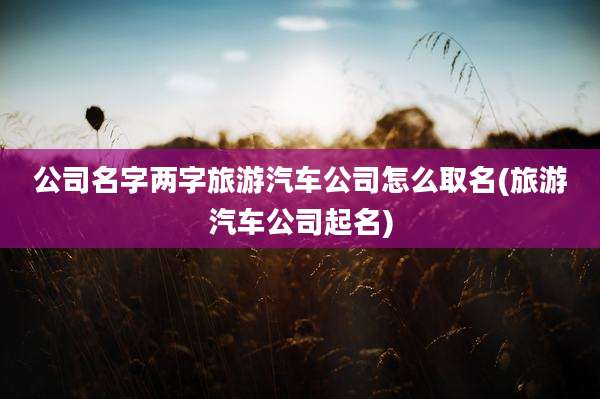 公司名字两字旅游汽车公司怎么取名(旅游汽车公司起名)
