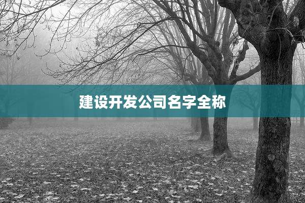 建设开发公司名字全称