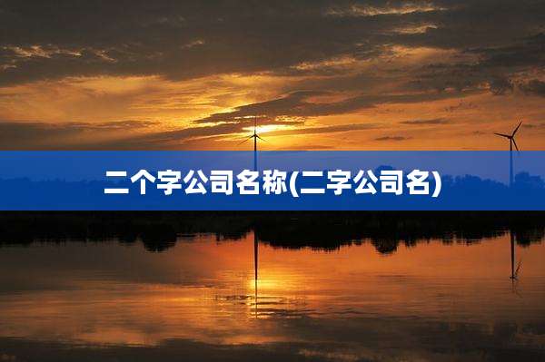 二个字公司名称(二字公司名)
