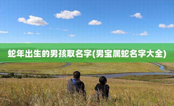 蛇年出生的男孩取名字(男宝属蛇名字大全)