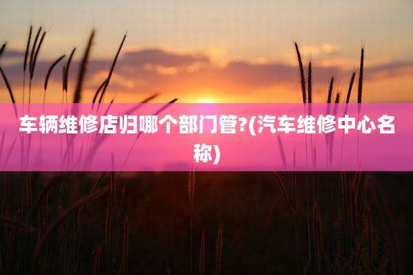 车辆维修店归哪个部门管?(汽车维修中心名称)