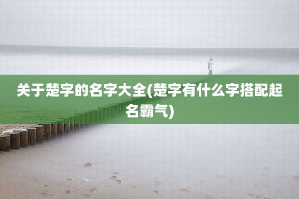 关于楚字的名字大全(楚字有什么字搭配起名霸气)