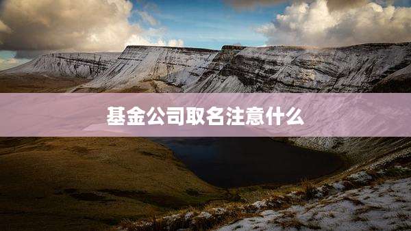 基金公司取名注意什么