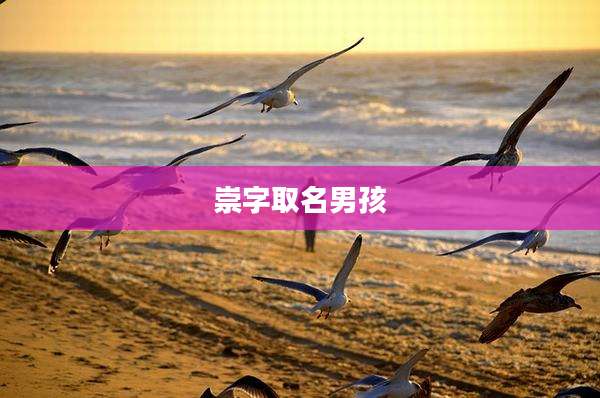 崇字取名男孩