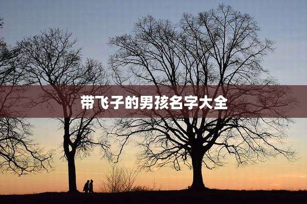 带飞子的男孩名字大全