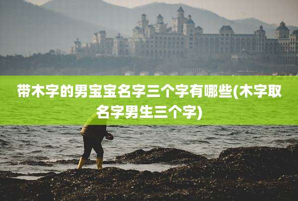 带木字的男宝宝名字三个字有哪些(木字取名字男生三个字)