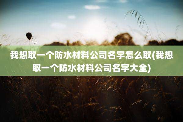 我想取一个防水材料公司名字怎么取(我想取一个防水材料公司名字大全)