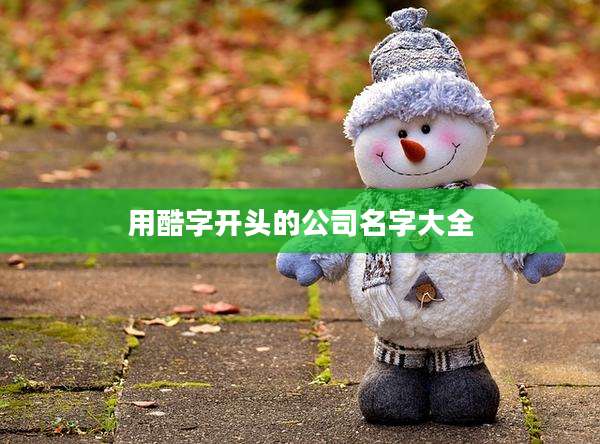 用酷字开头的公司名字大全