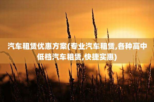 汽车租赁优惠方案(专业汽车租赁,各种高中低档汽车租赁,快捷实惠)