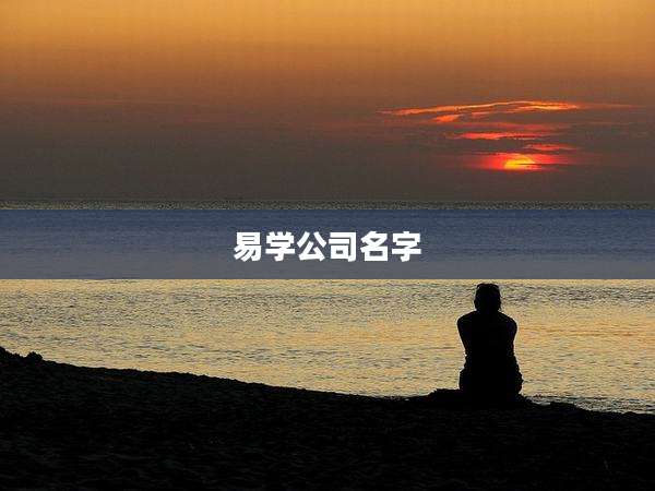 易学公司名字