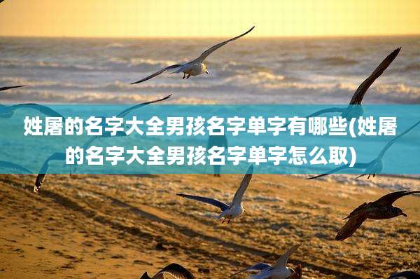 姓屠的名字大全男孩名字单字有哪些(姓屠的名字大全男孩名字单字怎么取)
