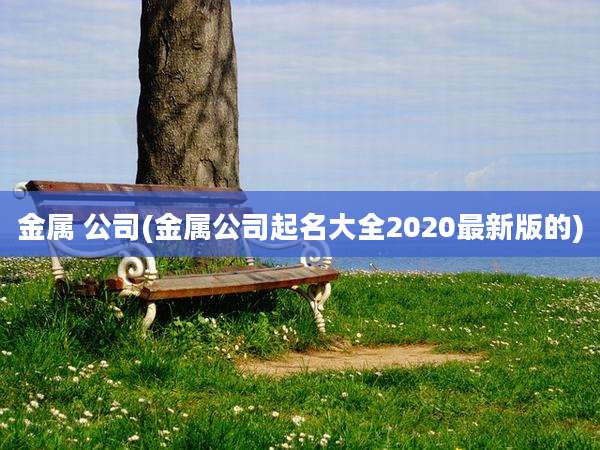 金属 公司(金属公司起名大全2020最新版的)