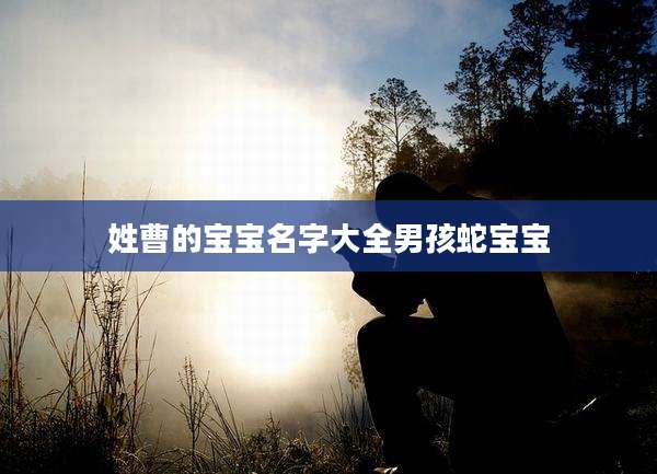 姓曹的宝宝名字大全男孩蛇宝宝