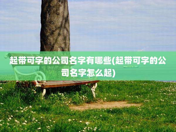 起带可字的公司名字有哪些(起带可字的公司名字怎么起)