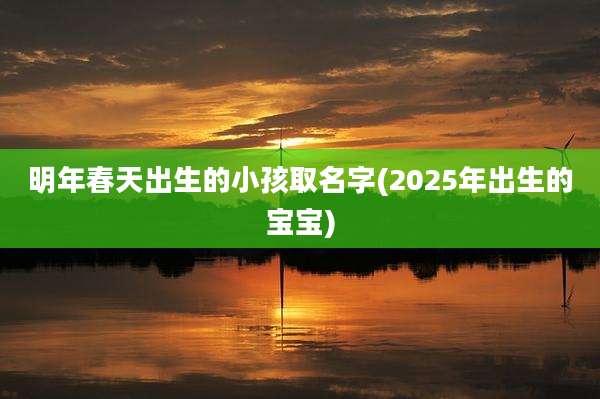 明年春天出生的小孩取名字(2025年出生的宝宝)