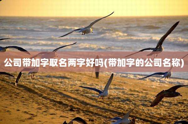 公司带加字取名两字好吗(带加字的公司名称)