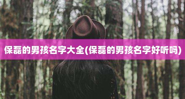保磊的男孩名字大全(保磊的男孩名字好听吗)