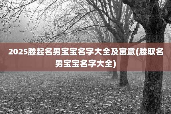 2025滕起名男宝宝名字大全及寓意(滕取名男宝宝名字大全)