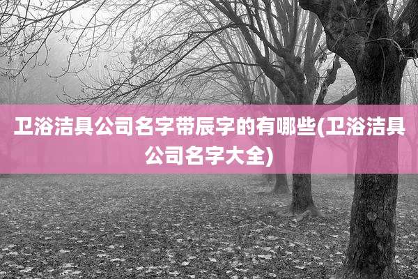 卫浴洁具公司名字带辰字的有哪些(卫浴洁具公司名字大全)