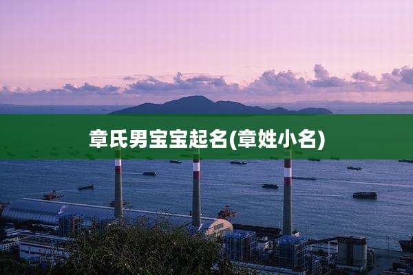 章氏男宝宝起名(章姓小名)