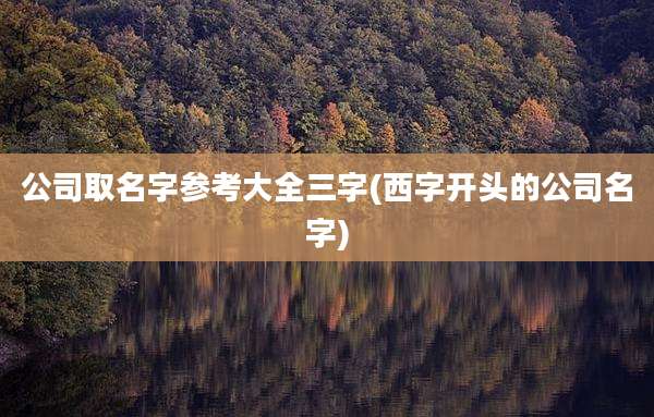 公司取名字参考大全三字(西字开头的公司名字)