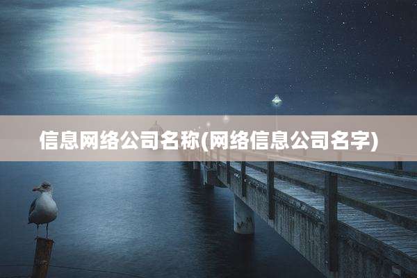 信息网络公司名称(网络信息公司名字)