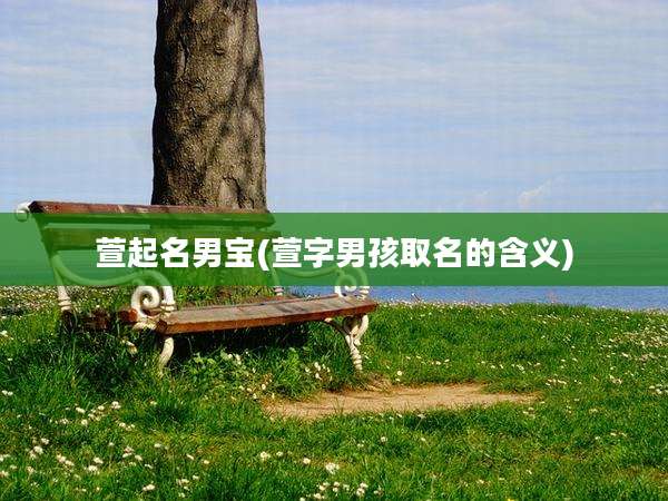 萱起名男宝(萱字男孩取名的含义)
