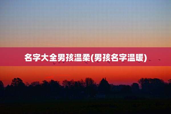 名字大全男孩温柔(男孩名字温暖)