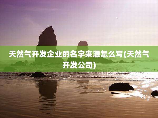 天然气开发企业的名字来源怎么写(天然气开发公司)