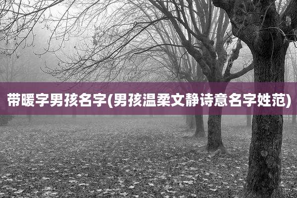 带暖字男孩名字(男孩温柔文静诗意名字姓范)