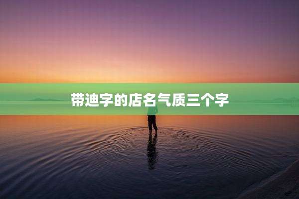 带迪字的店名气质三个字