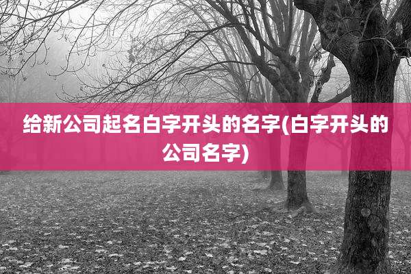 给新公司起名白字开头的名字(白字开头的公司名字)