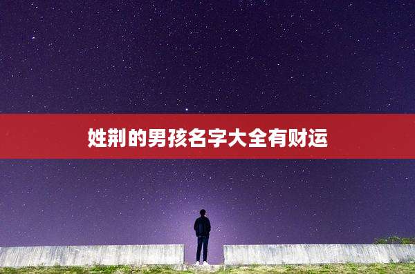 姓荆的男孩名字大全有财运