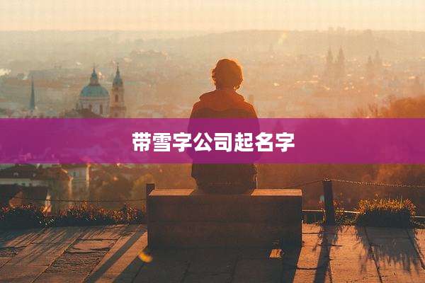 带雪字公司起名字