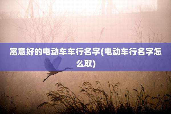 寓意好的电动车车行名字(电动车行名字怎么取)