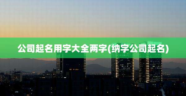 公司起名用字大全两字(纳字公司起名)