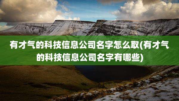 有才气的科技信息公司名字怎么取(有才气的科技信息公司名字有哪些)