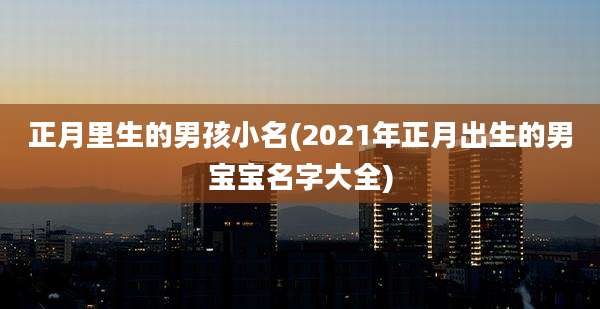 正月里生的男孩小名(2021年正月出生的男宝宝名字大全)