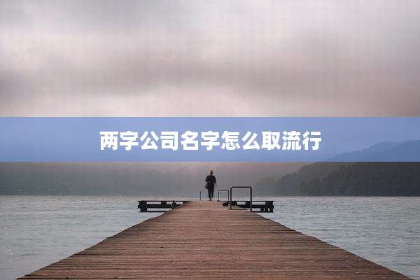 两字公司名字怎么取流行