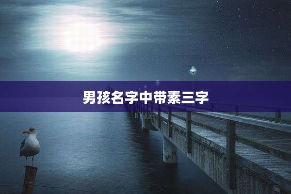 男孩名字中带素三字