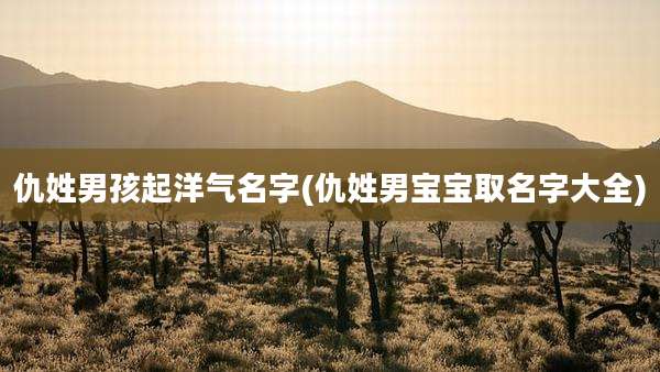 仇姓男孩起洋气名字(仇姓男宝宝取名字大全)