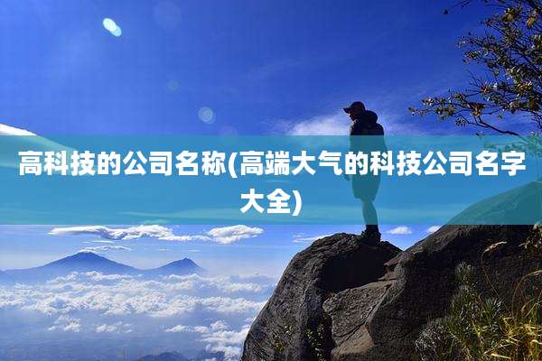 高科技的公司名称(高端大气的科技公司名字大全)
